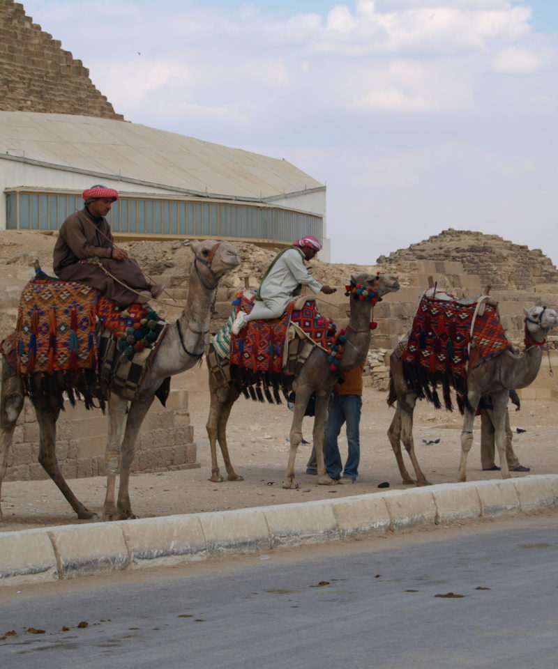 Cairo Egypt Vacation, Deluxe Tours Egypt