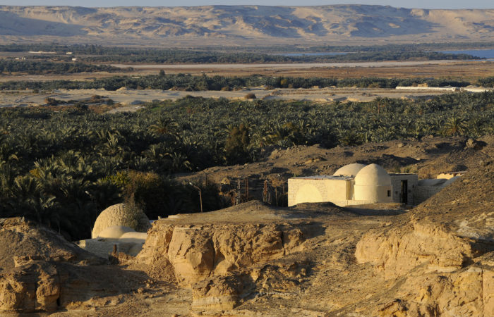 Bawiti Baharia oasis, Bahareya