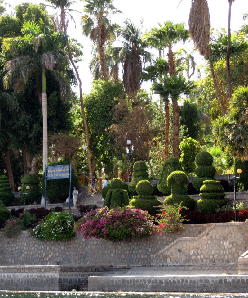 botanical garden in aswan. kitchner island
